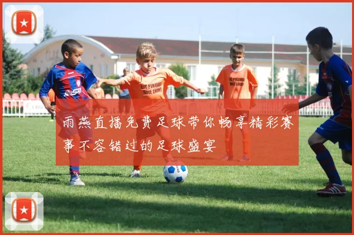 雨燕直播免费足球带你畅享精彩赛事不容错过的足球盛宴