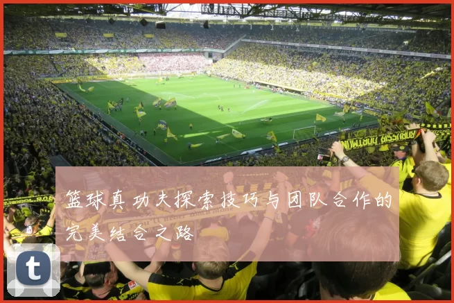 篮球真功夫探索技巧与团队合作的完美结合之路