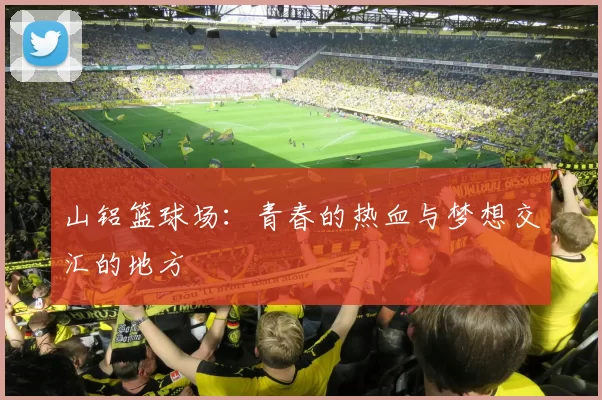 山铝篮球场：青春的热血与梦想交汇的地方