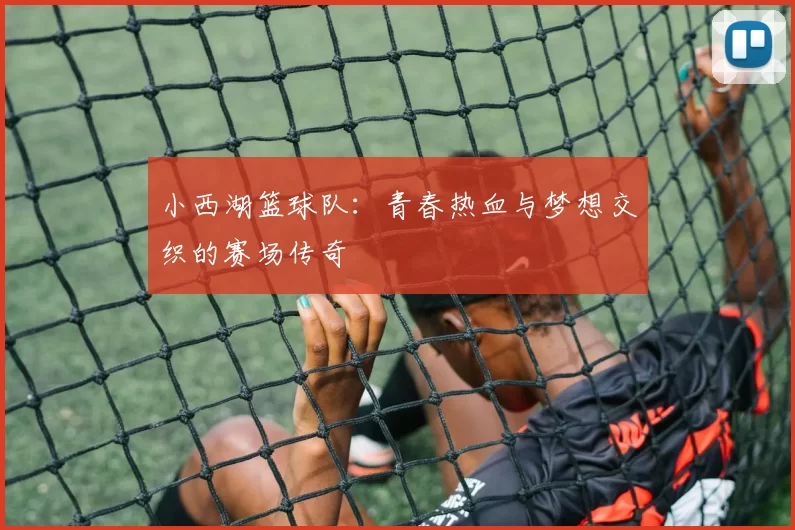 小西湖篮球队：青春热血与梦想交织的赛场传奇