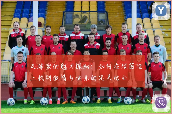 足球蜜的魅力探秘：如何在绿茵场上找到激情与快乐的完美结合