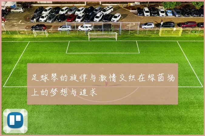 足球琴的旋律与激情交织在绿茵场上的梦想与追求