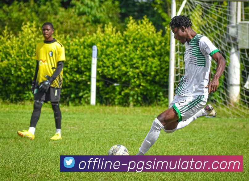 PG电子模拟器平台生态图